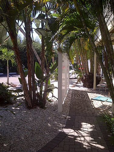Coquina On The Beach Lido Key  外观 照片