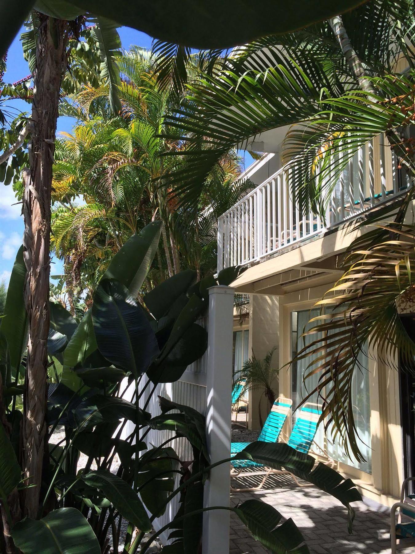 Coquina On The Beach Lido Key  外观 照片