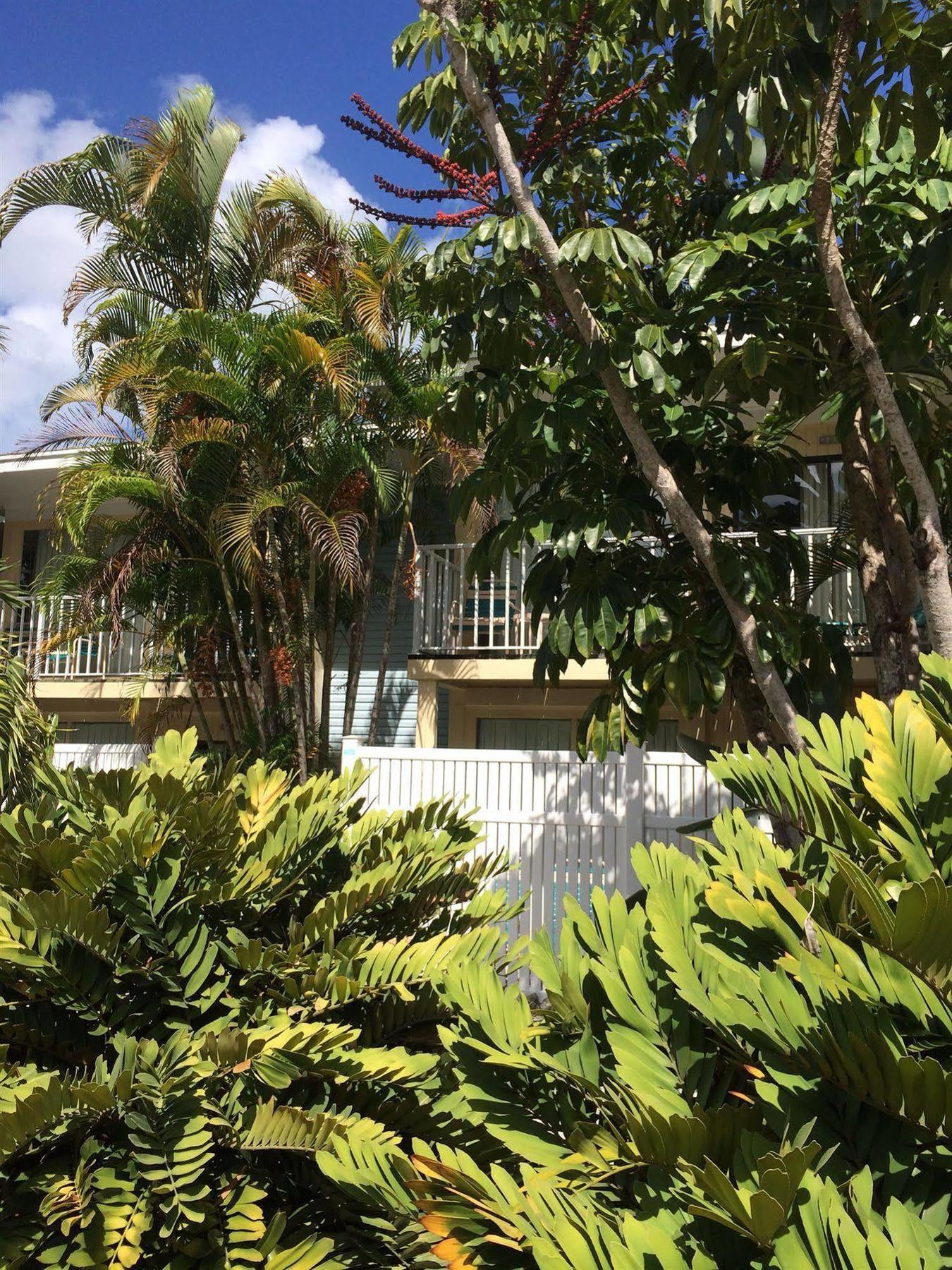 Coquina On The Beach Lido Key  外观 照片
