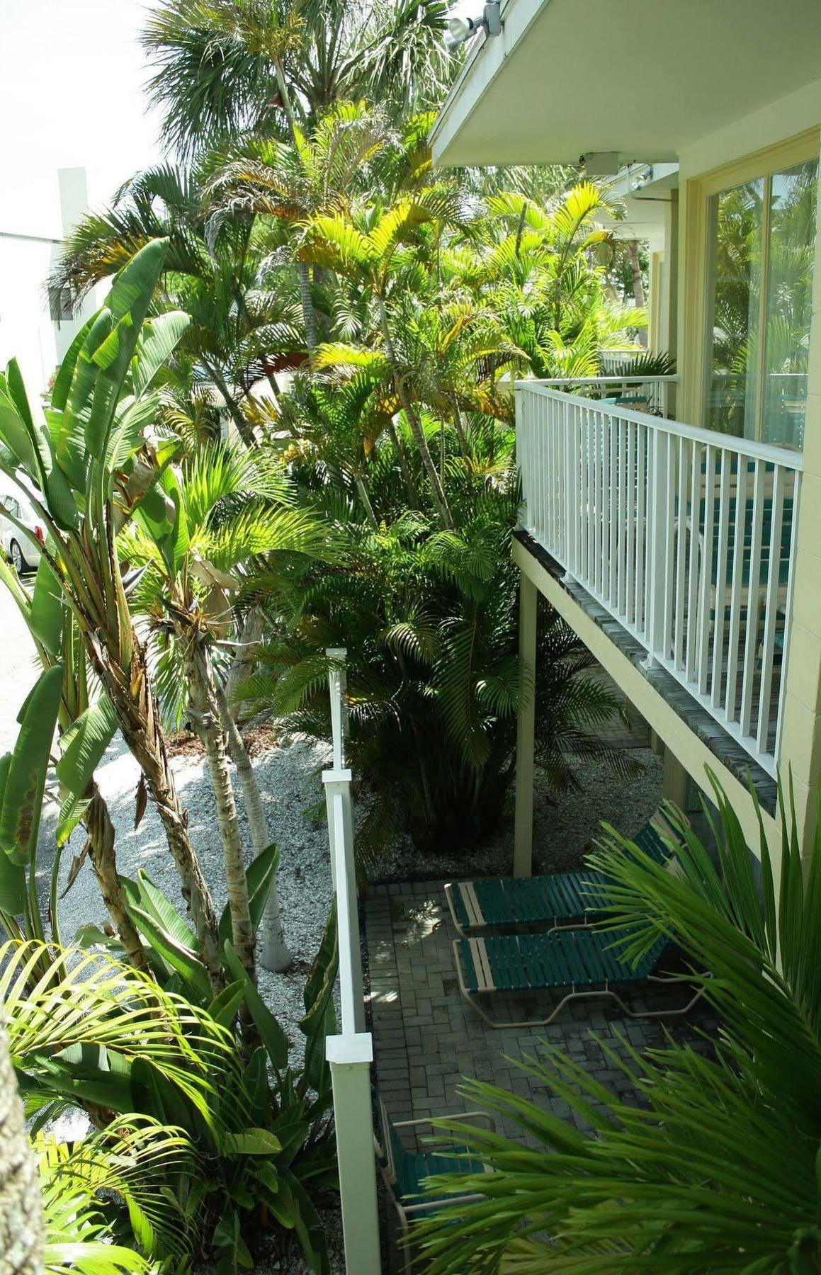 Coquina On The Beach Lido Key  外观 照片